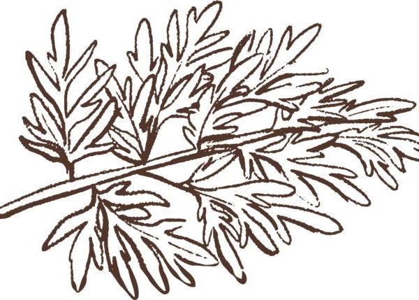 Powerpoint Wormwood