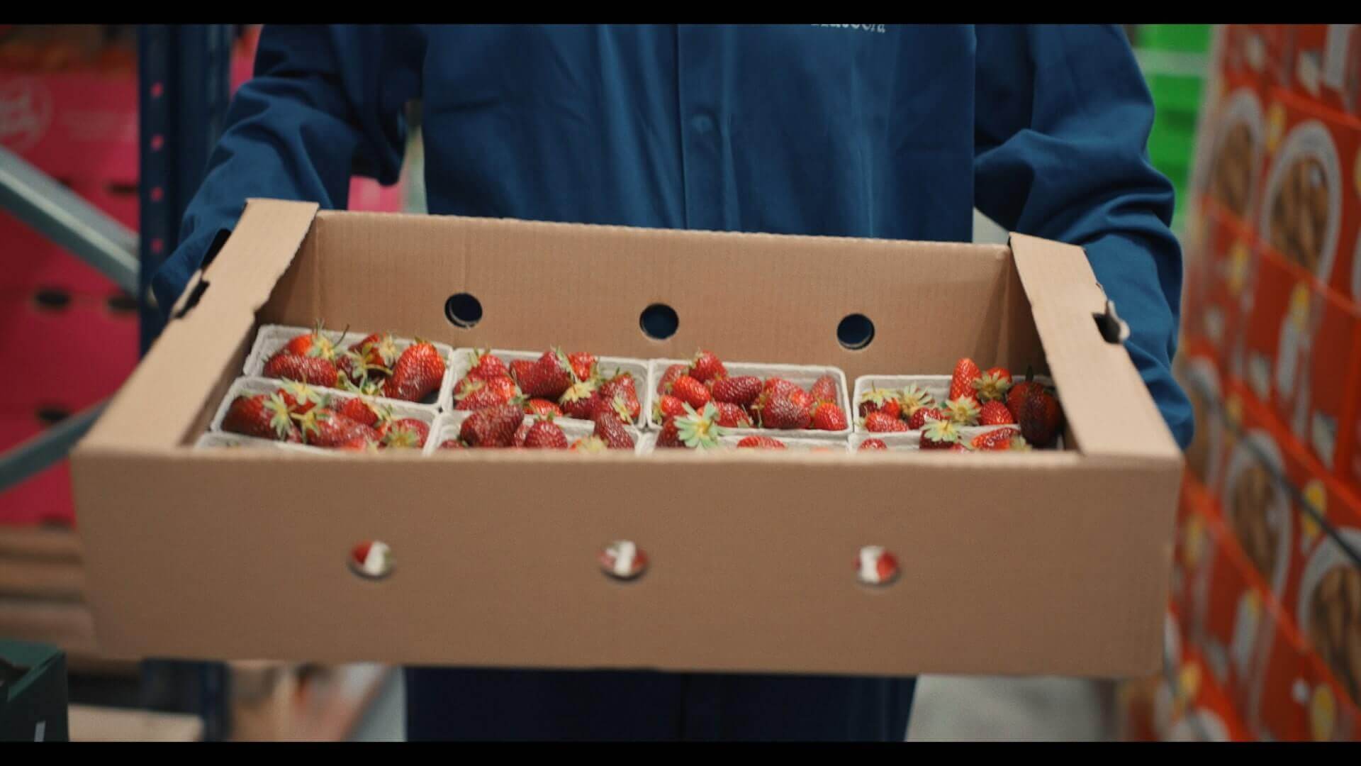 Person holding a box of strawberries