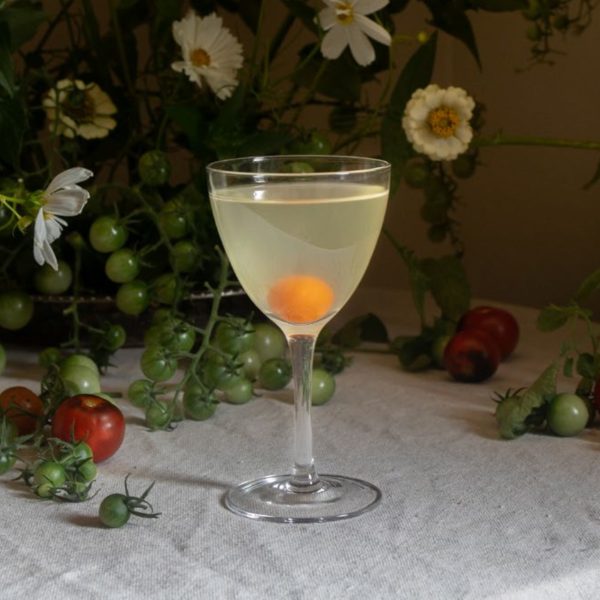 fermented tomato martini recipe