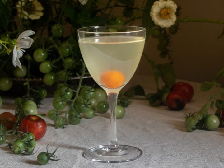 fermented tomato martini recipe