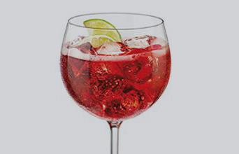 Cóctel Campari Tonic