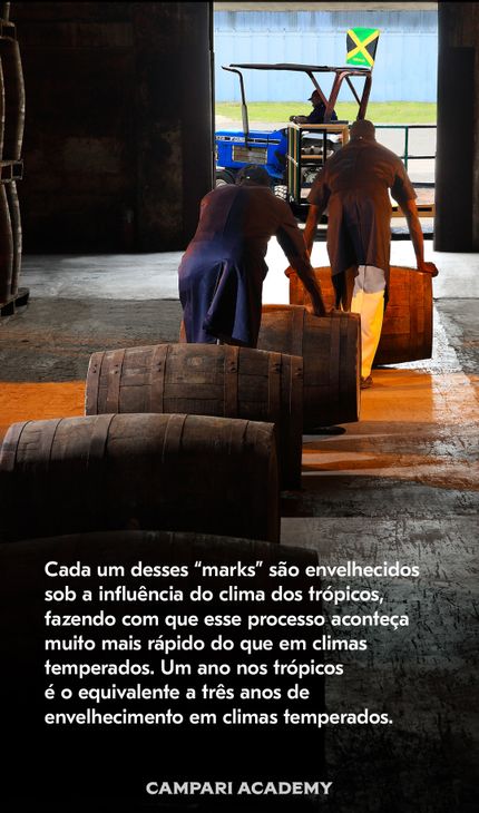 imagem com descrição sobre a bebida Appleton Estate
