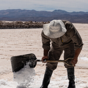 Man working on a salt field