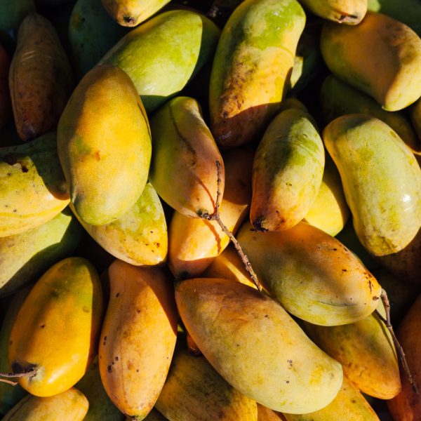 Ripe mangoes at the street market vietnam 2024 10 14 18 55 51 utc 1
