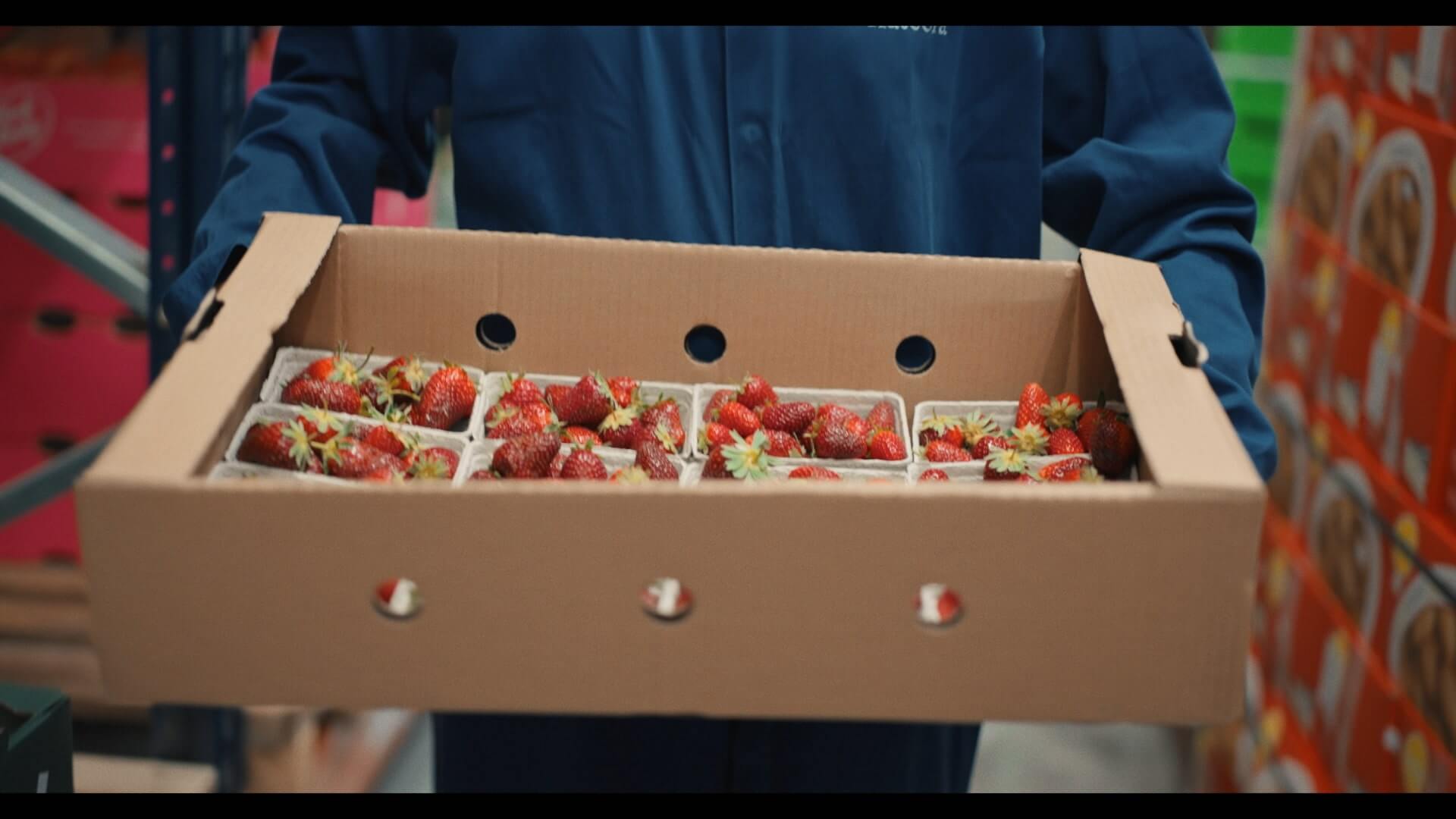 Person holding a box of strawberries