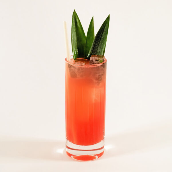Grand Summer Fizz cocktail recipe